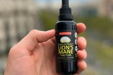 Lion's mane efficiency
